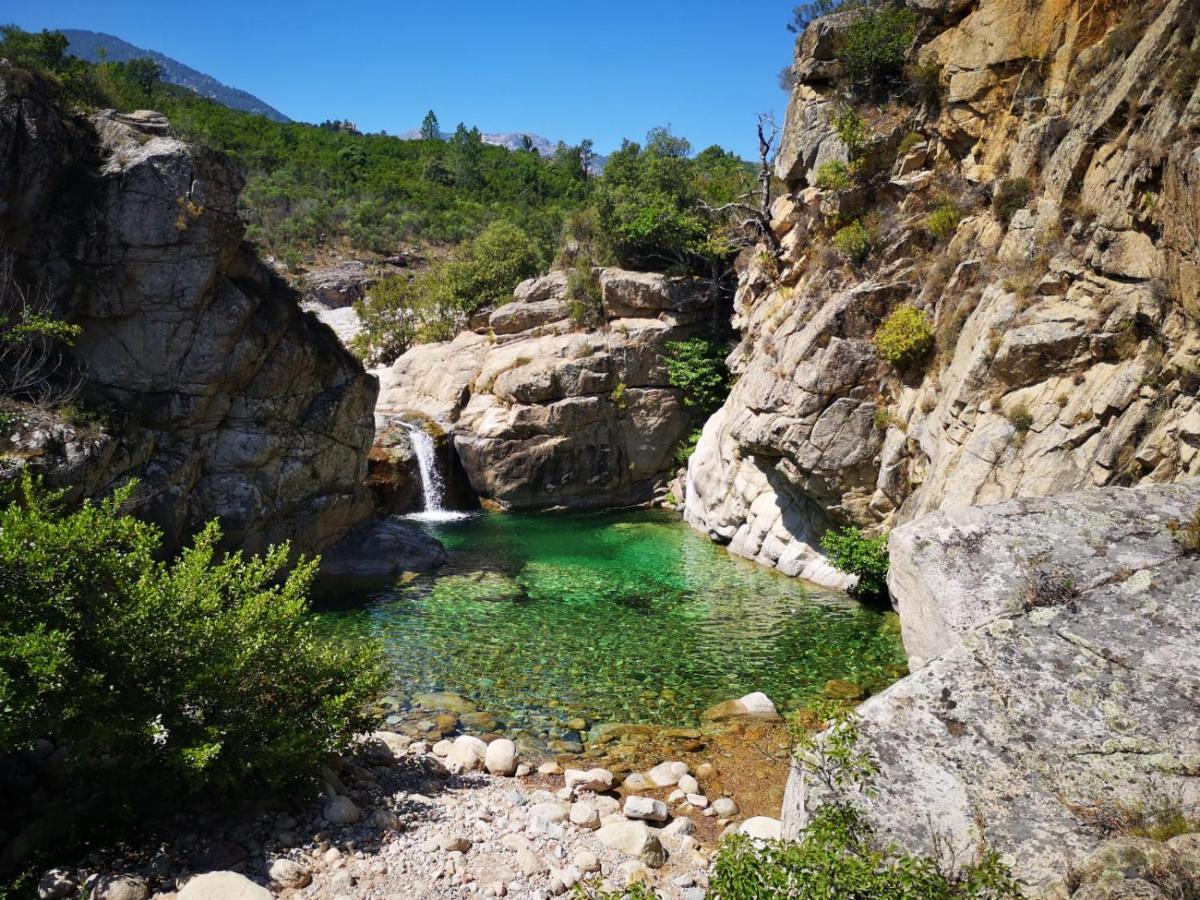 Un Petit Paradis Pinarellu  Luaran gambar