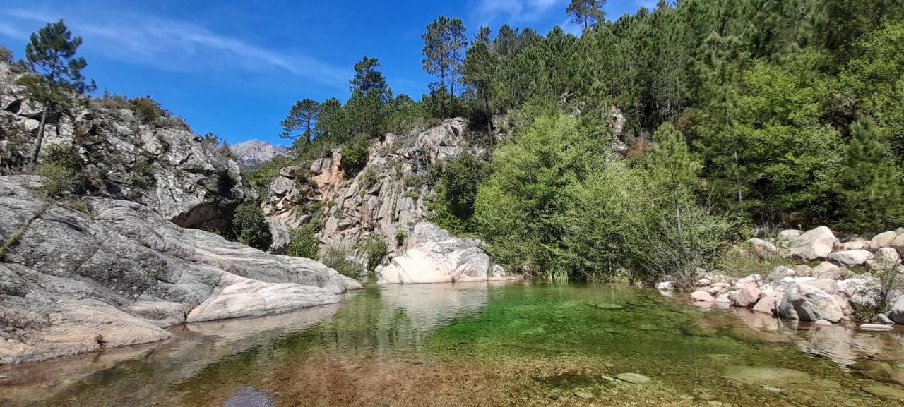 Un Petit Paradis Pinarellu  Luaran gambar