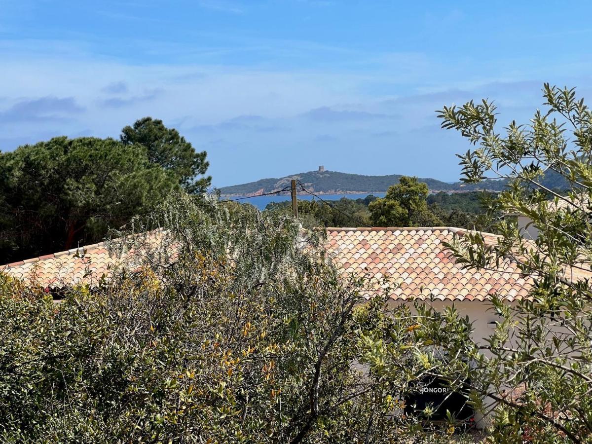 Un Petit Paradis Pinarellu  Luaran gambar